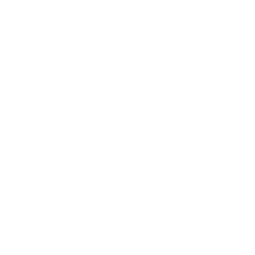 customise-seo